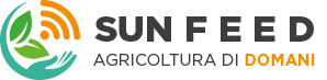 SunFeed