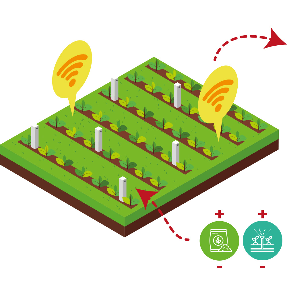 sunfeed-smart01